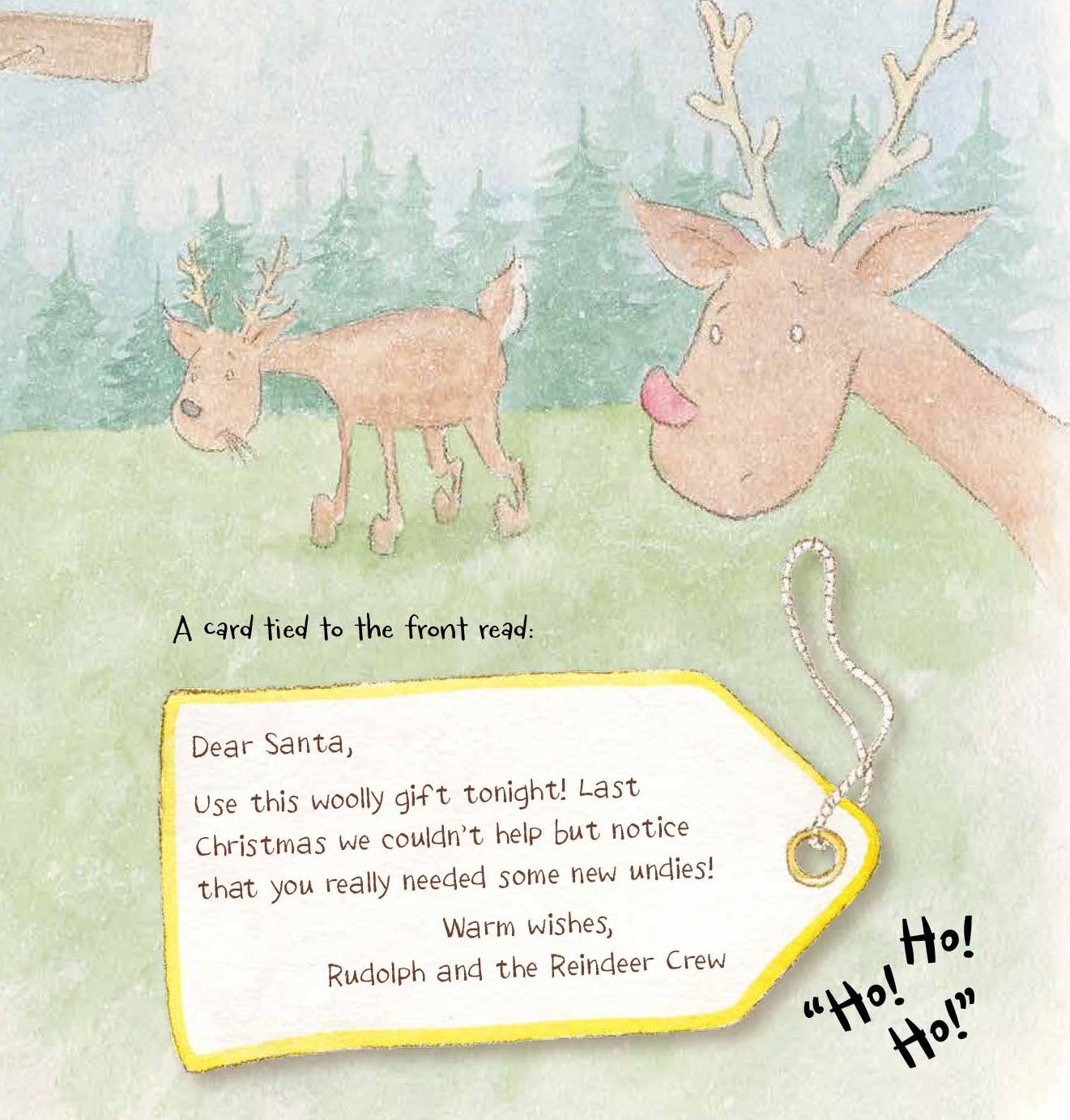 Santa's Underwear Book