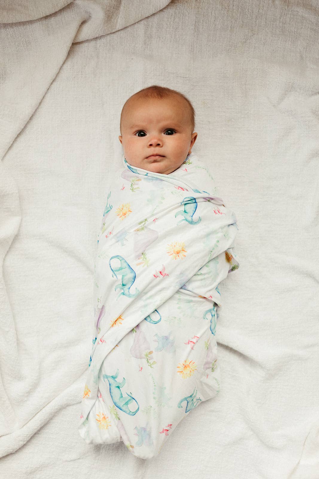 We Are The Dinosaurs Swaddle (47"x47")