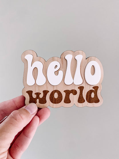 Wooden Monthly Milestone Set - Retro 3D Font: 12 Months + Hello World