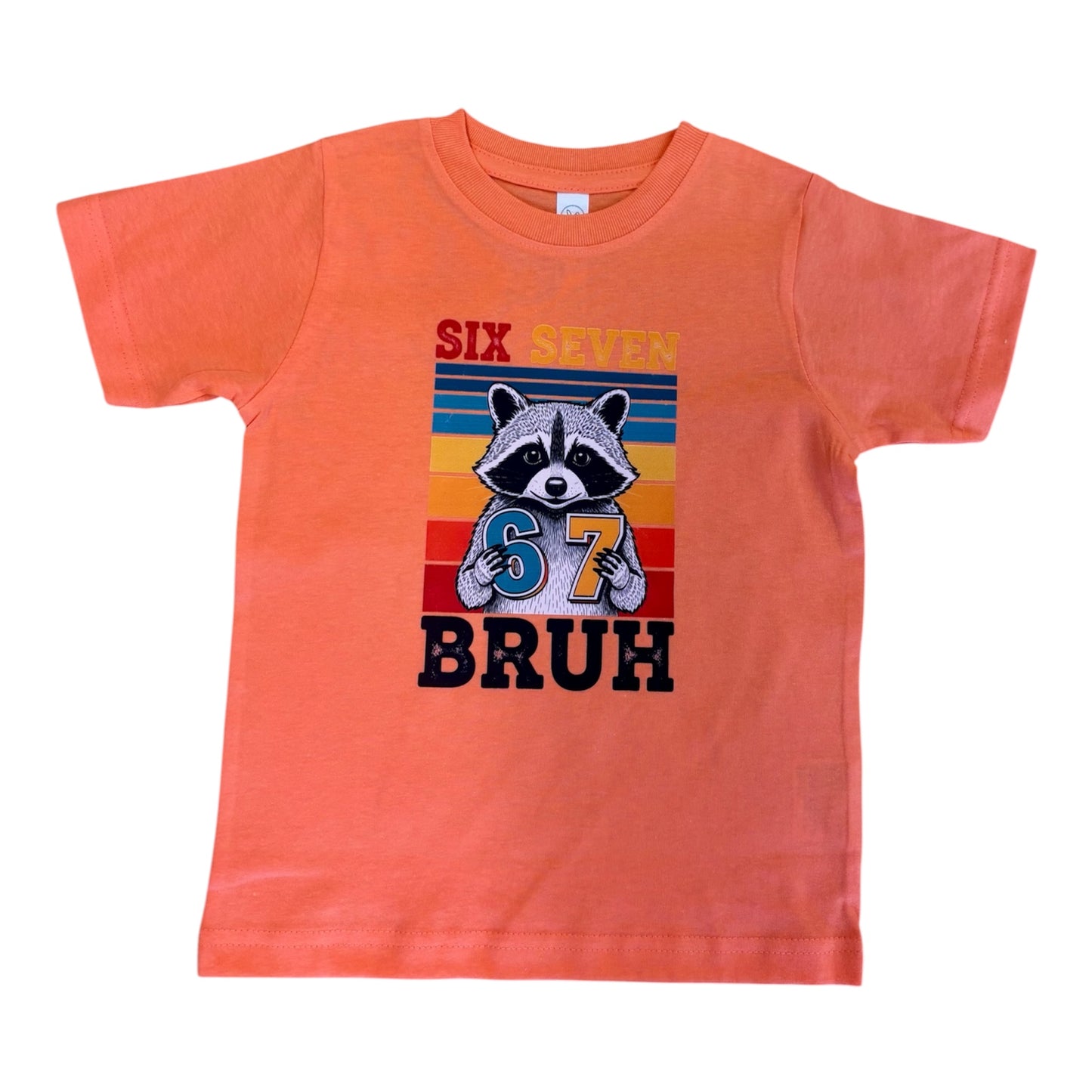 6-7 Racoon T-Shirt