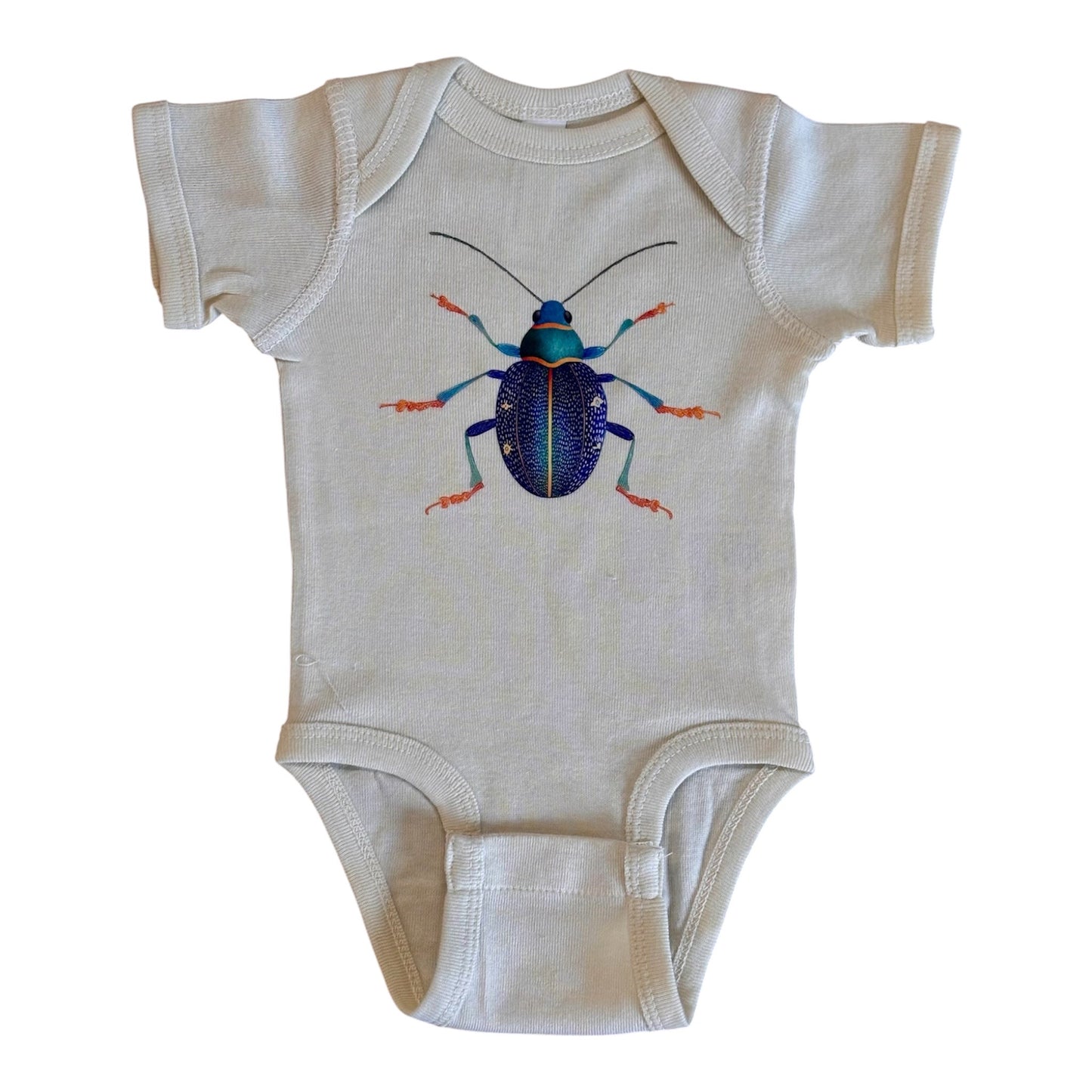 Blue Green Beetle