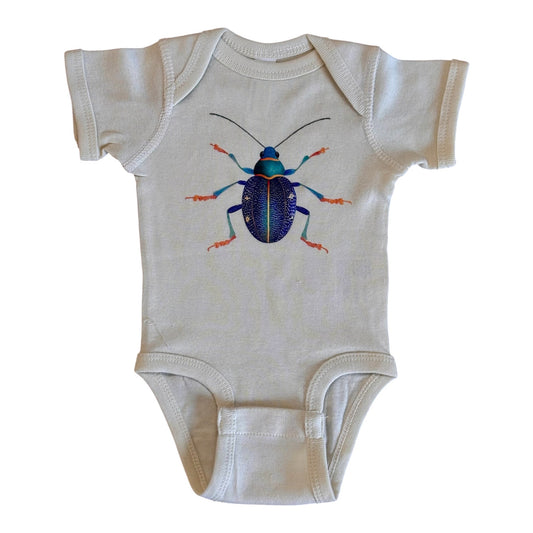 Blue Green Beetle