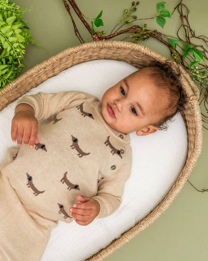 Doxie Dog Jacquard Sweater