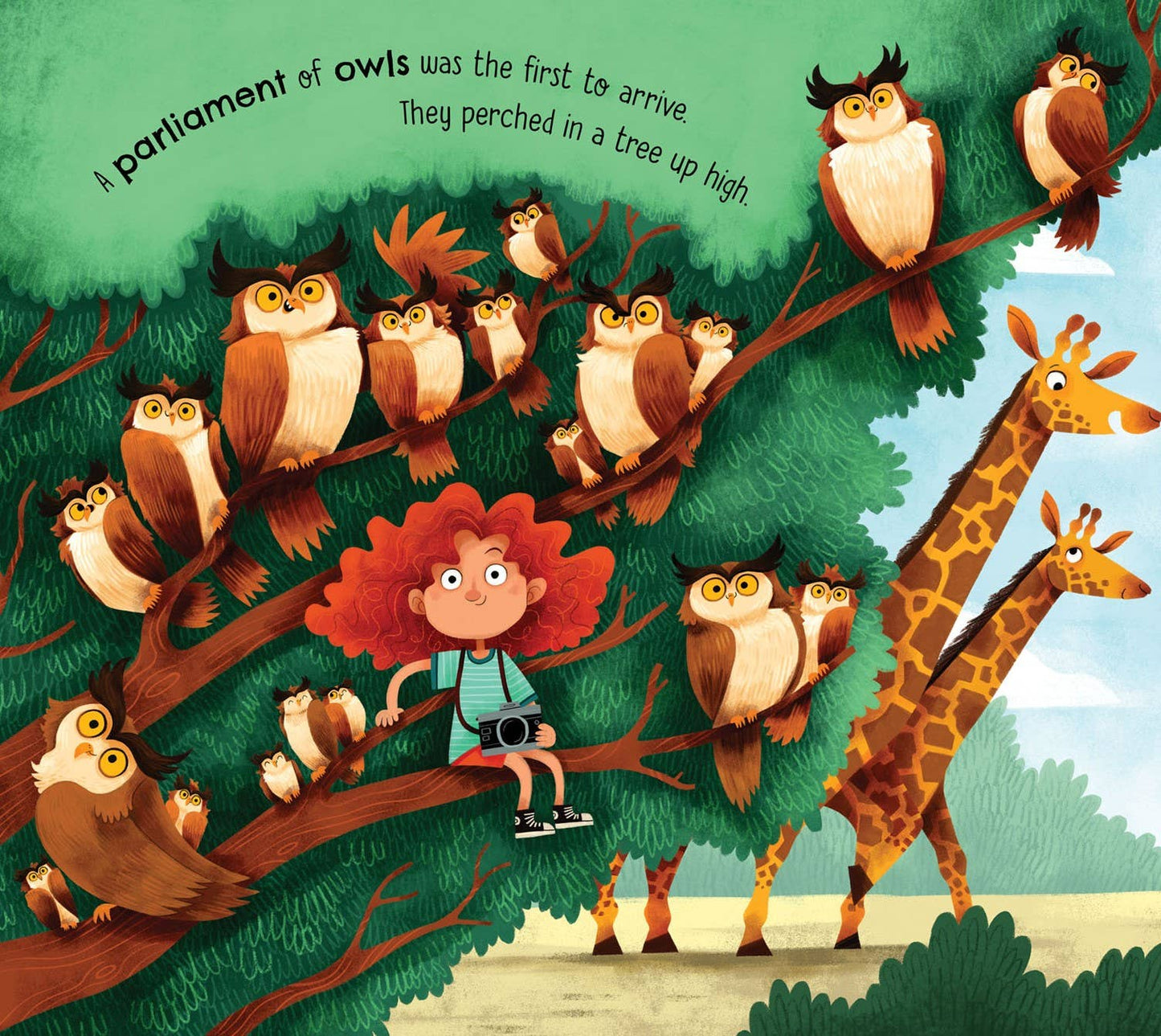 A Parliament of Owls picture book