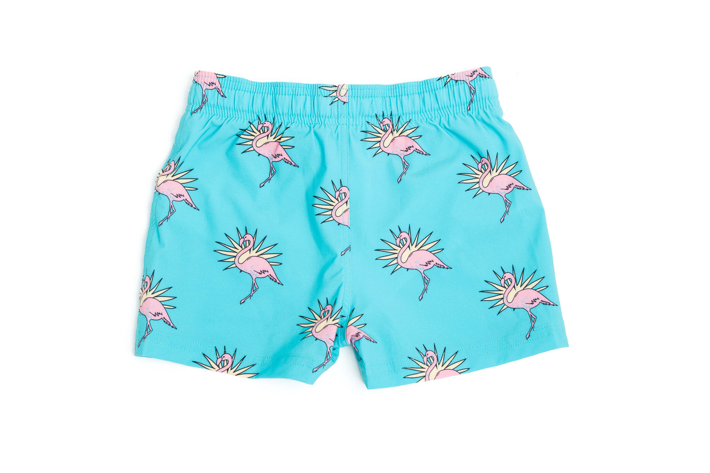Charleston Swim Trunks