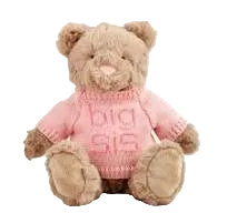 Big Sis Bear