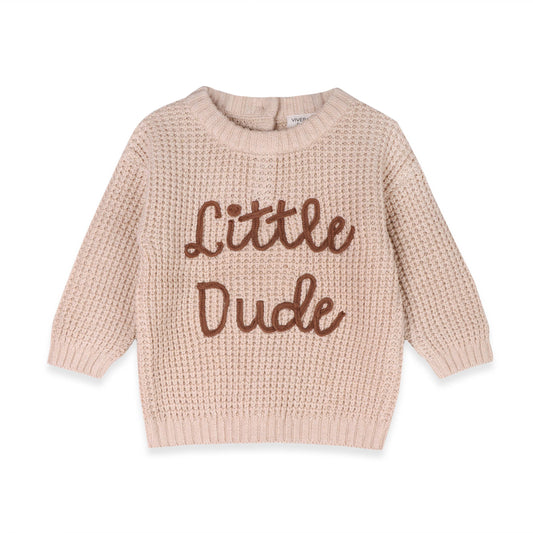 Little Dude Embroidered Sweater